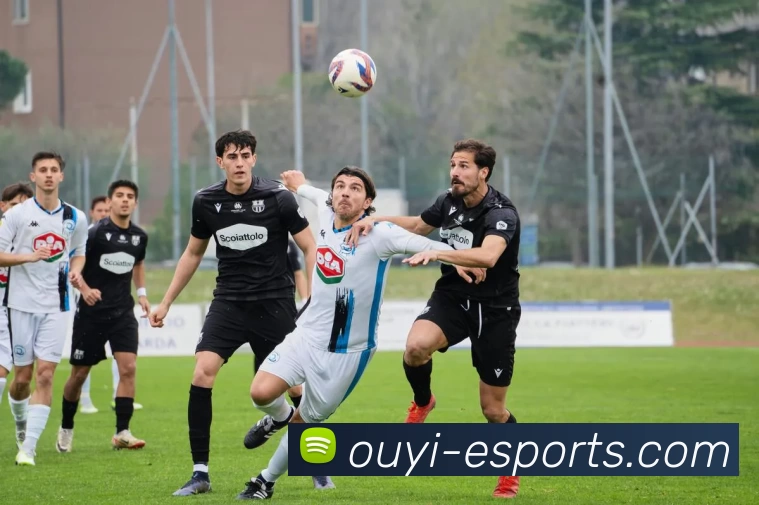 多媒体互动体验